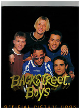 Bücher backstreet boys gebraucht kaufen  St Johann