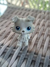Lps hund collie gebraucht kaufen  Osterhofen