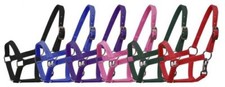 Small pony halter for sale  Troy