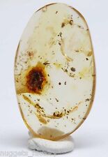 Ambre santander colombie d'occasion  Fayence