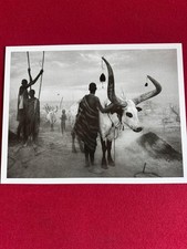 Sebastião salgado kei usato  Parma