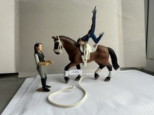 Schleich voltigierset 42002 gebraucht kaufen Schleich voltigierset 42002 gebraucht kaufen  Bad Segeberg