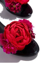 Palms rosette flowers for sale  Sammamish