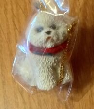 miniature bichon frise for sale miniature bichon frise for sale Dodson