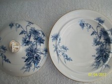 Royal worcester .blue for sale  NEWARK