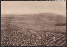 Champagne pommery greno d'occasion  Lunel