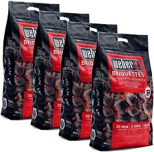 Bricchetti carbone weber usato  Siderno