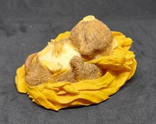 Collectable aynsley mastercraf for sale  ASHFORD