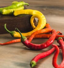 Corbaci sweet pepper for sale  FERRYHILL