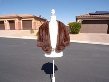 Real russian squirrel for sale  Las Vegas