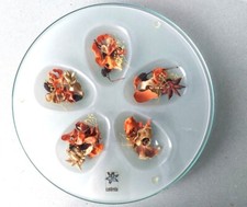 Plat verre d'occasion  Thionville