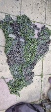 British army issue for sale  ROWLEY REGIS