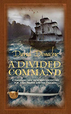 Divided command david for sale Divided command david for sale  UK