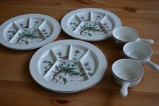 villeroy boch botanica teller gebraucht kaufen  Kirchenlamitz