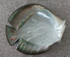 Rare ancien coquillage d'occasion  Brie-Comte-Robert