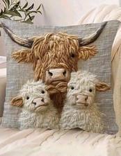 Beautiful highland cow for sale  CHEPSTOW