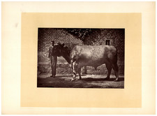 Young man holding d'occasion  Expédié en Belgium