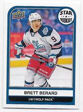 Brett berard ahl for sale  West Springfield