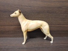 Jovial roger lurcher for sale  PORTH