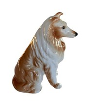 Collie dog sitting for sale  Rosemount