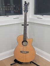 Acoustic electric guitar for sale  Flushing