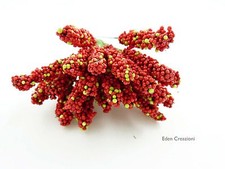 Fiori fiore berry usato Fiori fiore berry usato  Stroncone