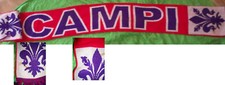 Sciarpa fiorentina campi usato  Firenze
