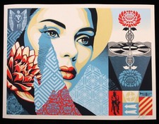 Shepard fairey harmonious d'occasion Shepard fairey harmonious d'occasion  Gambsheim