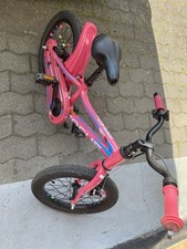 Kinderfahrrad focus gebraucht kaufen  Flammersfeld
