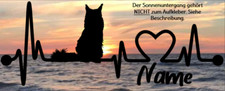 Aufkleber katze maine gebraucht kaufen  Munster