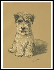 Jack russell terrier d'occasion  Expédié en Belgium