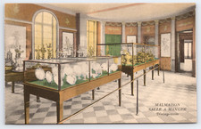 Vintage postcard malmaison d'occasion  Expédié en Belgium