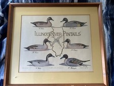 Pintails louisiana river for sale  Perryville