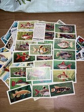 gum cards for sale gum cards for sale GRANTHAM