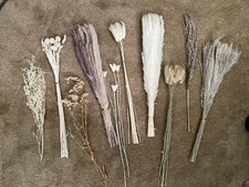 Dried flower grass for sale  Marietta
