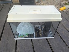Juwel monolux fish for sale  IPSWICH