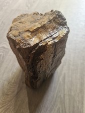 Bois pétrifié fossilisé d'occasion  Vaison-la-Romaine