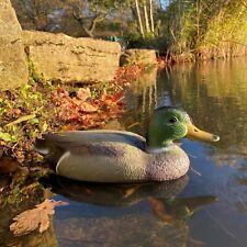 Mallard duck hunting for sale  POOLE