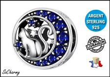 Joli charm chat d'occasion  La Turballe
