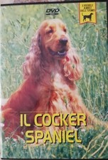 Dvd cocker spaniel usato  Cittaducale