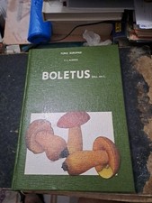 Boletus alessio fungi usato  La Maddalena