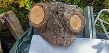 Skulptur natur geschaffen gebraucht kaufen  Kempen