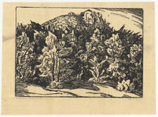 1910 karl thylmann gebraucht kaufen  Bonn