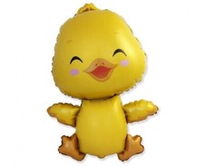 Little duck baby for sale  CAMBRIDGE