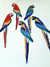 Macaw parrot set for sale  Shipping to Ireland