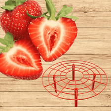 Everbearing strawberry plants d'occasion  Expédié en Belgium