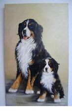 Tiere berner sennenhund gebraucht kaufen  Backnang