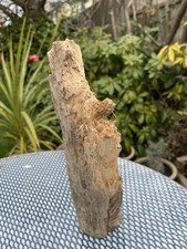 27cm weathered character for sale 27cm weathered character for sale  CLACTON-ON-SEA
