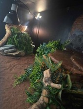 4ft vivarium for sale  LONDON