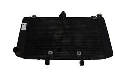 Radiatore acqua honda usato  Italia
